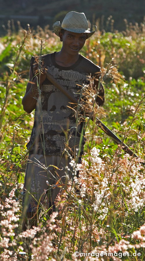 Farmer
Madagaskar
Schlüsselwörter: Totenschädel, Schädel, Sensenmann, Feld, Afrikaner, Arbeit, Zeit, Sonnenlicht, Sonnenschein, Portrait, Feldarbeit, Frohsinn, Fröhlichkeit, Lachen, Landleben, Mensch, romantisch, Ruhe, Jugendlicher, Sense, jung, Strohhut, kraftvoll, Muskelkraft, Mensch,