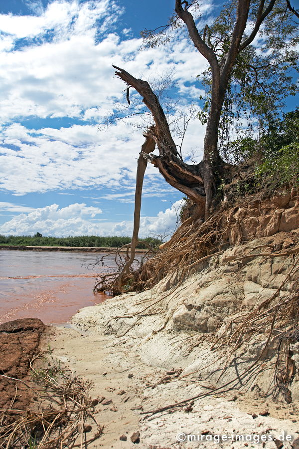 Ufer
am Tsiribihina
Schlüsselwörter: Wildnis, Natur, Himmel, blau, Wolken, Vegetation, Fluus, Wasser, unberührt,