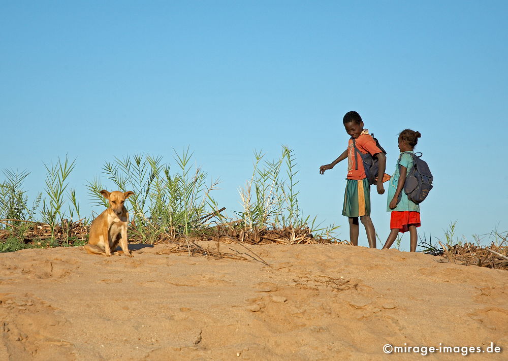 Schulkinder
Tsiribihina
Schlüsselwörter: children1, Hund Strand, Sand Ufer,