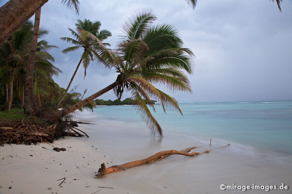 L�ile aux Nattes
Toamasina
Schlüsselwörter: Strand, Sand, Abends, Palme