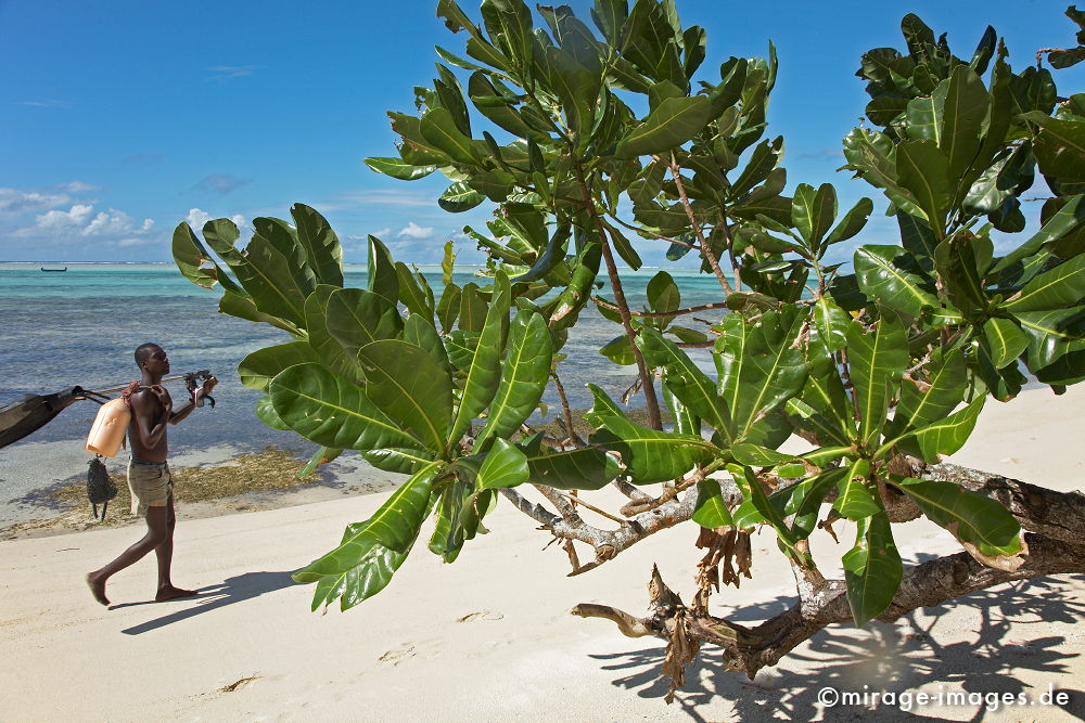 Fisherman
L´ile aux Nattes
Schlüsselwörter: Afrika, afrikanisch, Insel, exotisch, tropisch, Armut, Tropen, 3. Welt, Niedriglohn, Indischer Ozean, achte Kontinent, Gewürzinsel, Entwicklungsland, Naturwunder, französisch, Frankreich, Kolonialismus, Kolonie, Artenreichtum, Artenvielfalt,