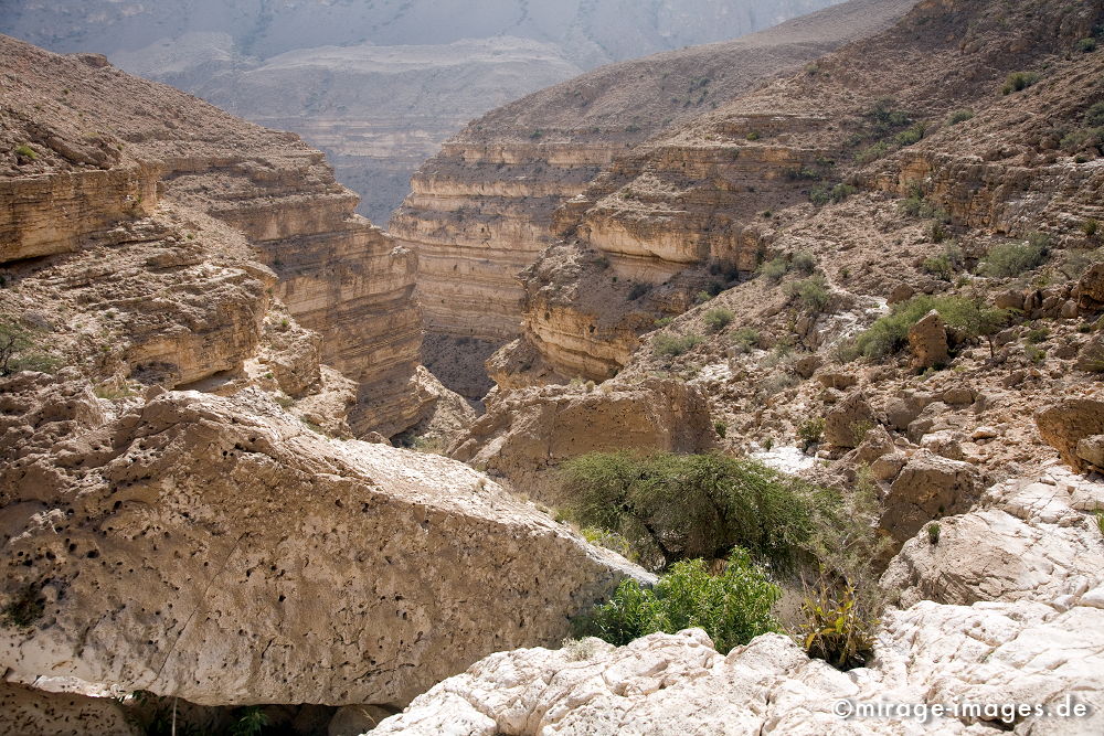 Way to the Cave
Salmah Plateau
Schlüsselwörter: Höhle, Abenteuer, forschen, entdecken, unbekannt, abgelegen, Vegetation, Stille, Felsen, unwirtlich, Gebirge, 