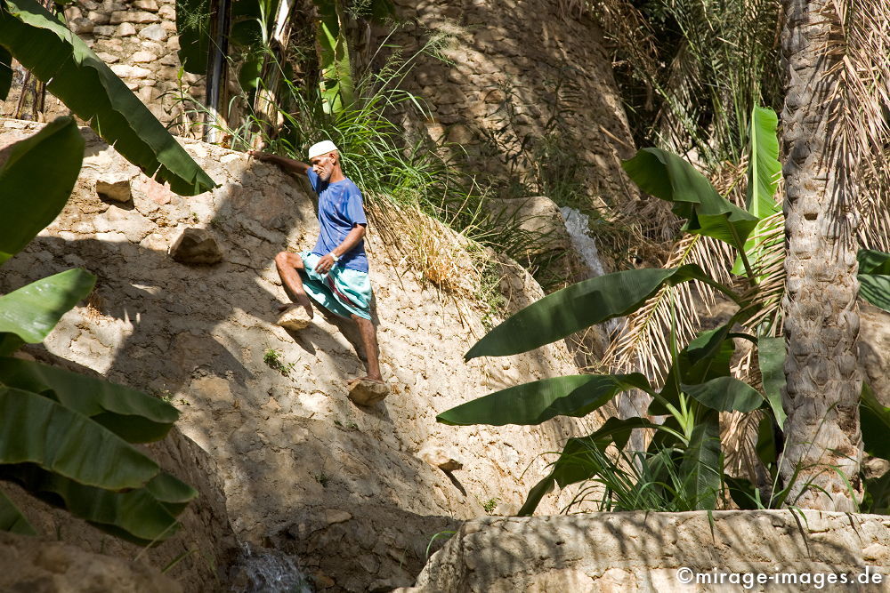 Wakir
Al Hajar al Gharbi
Schlüsselwörter: Bewässerung, Omani, Falaj, Aflaj, Aflaaj, Oase, Wasser, wertvoll, Ernährung, überleben, Landwirtschaft, alt, Erbe, Wakir, Garten, Treppe, Plantage, Mensch, Mann, Terrassen, Lebensmittel, zeitlos, Dorf, ländlich, ruhig, gelassen, Charakter, Gartenkunst