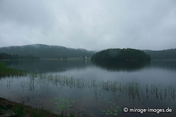 fog in the evening
Ljungskile
Schlüsselwörter: grau, feucht, Nebel, nass, grün, Landschaft, See, Wasser, Tristesse, einsam, Einsamkeit, Insel,