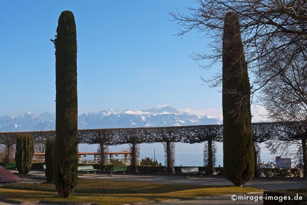 View from Casino de Montbenon 
Lausanne
Schlüsselwörter: Alpen, Berge, Schnee, Blick, Aussicht, Fernblick, Fernsicht, Gegend, Panorama, Rundblick, Sicht, Überblick, Terasse, Weite, malerisch, Bänke, Entspannung, Winter, Luxus, 