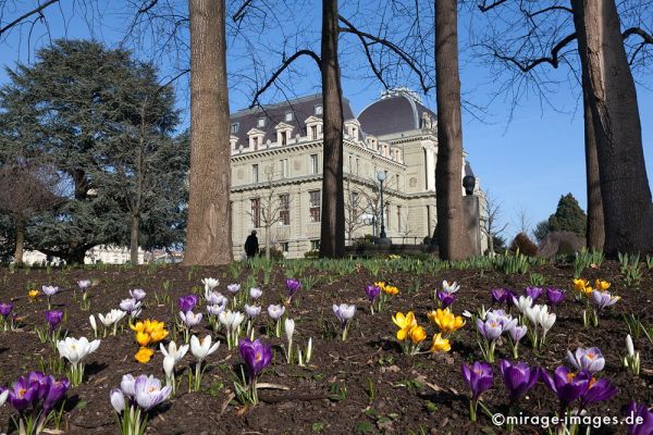 Palais de Justice
Lausanne
Schlüsselwörter: Krokus, Frühling, Sonne, warm, Himmel, blau, Gebäude, alt, Architektur, Park, bunt, Beet, Justiz, Bäume, Stämme, 