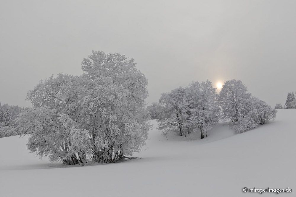 Deep Winter
Val de Ruz
Schlüsselwörter: Frost vereist Schnee verschneit Winter K�lte kalt weiss romantisch Harmonie Landart malerisch Temperatur Baum einsam menschenleer magisch Ruhe Einsamkeit Pracht Zauber Meditation Versenkung Kontemplation Magie Natur nat�rlich Landschaft introvertiert
