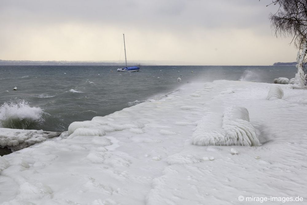 Unfriendly
Port de Choiseul Lac Léman
Schlüsselwörter: Zuckerguss Glatteis Eis vereist eisig kalt Sturm arktisch Winter Kälte sibirisch Frost Skulptur malerisch bizarr surrealistisch  unbrauchbar Attraktion extrem eingepackt  Kunstwerk unbeweglich Ruhe friedlich Schönheit Zauber Zuckerguss Wetter 