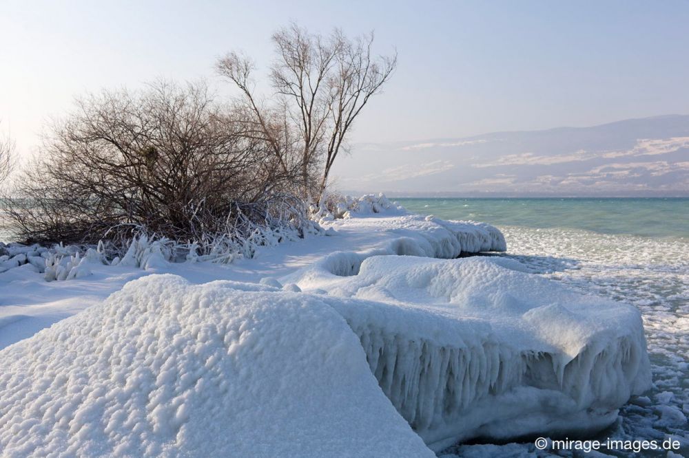 Ice Desert
Lac de Neuchâtel 
Schlüsselwörter: draussen eingefroren Schnee Eis Eiszapfen fantastisch  friedlich Frost gefroren Gewässer Winter Kälte Magie magisch Pracht rauh extrem kalt Landschaft Natur romantisch Schönheit vereist verzaubert Wasser Ufer See Winter Zauber Zuckerguss Ruhe friedlich