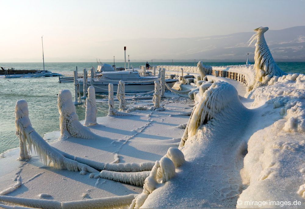 Elegant Harbour
Lac de Neuchâtel 
Schlüsselwörter: Zuckerguss Glatteis Eis vereist arktisch Winter Kälte sibirisch Frost Skulptur malerisch pittoresk bizarr surrealistisch selten Laternen Attraktion extrem eingepackt  Kunstwerk unbeweglich Ruhe friedlich Schönheit Zauber Spektakel 