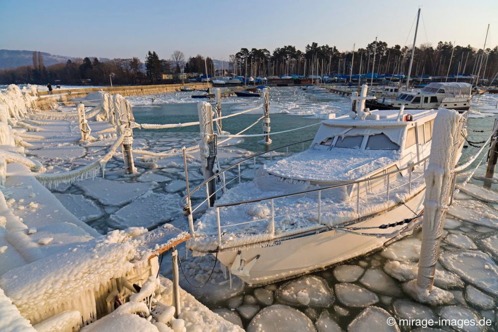 Harbour
Lac de Neuchâtel 
Schlüsselwörter: Eis vereist Wasser arktisch Winter Kälte weiss sibirisch Frost Ereignis Skulptur Verhüllung Schiff Hafen malerisch pittoresk skurill bizarr surrealistisch selten unbrauchbar Attraktion eingepackt umhüllt Zuckerguss Motorboot Kunstwerk unbeweglich Ruhe