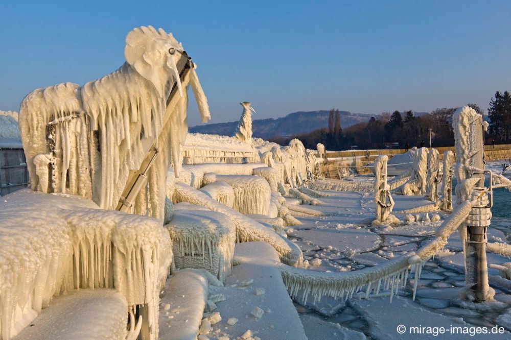 The Elephant
Lac de Neuchâtel 
Schlüsselwörter: Zuckerguss Glatteis Eis vereist arktisch Winter Kälte sibirisch Frost Skulptur malerisch pittoresk bizarr surrealistisch selten Laternen Attraktion extrem eingepackt  Kunstwerk unbeweglich Ruhe friedlich Schönheit Zauber Spektakel 