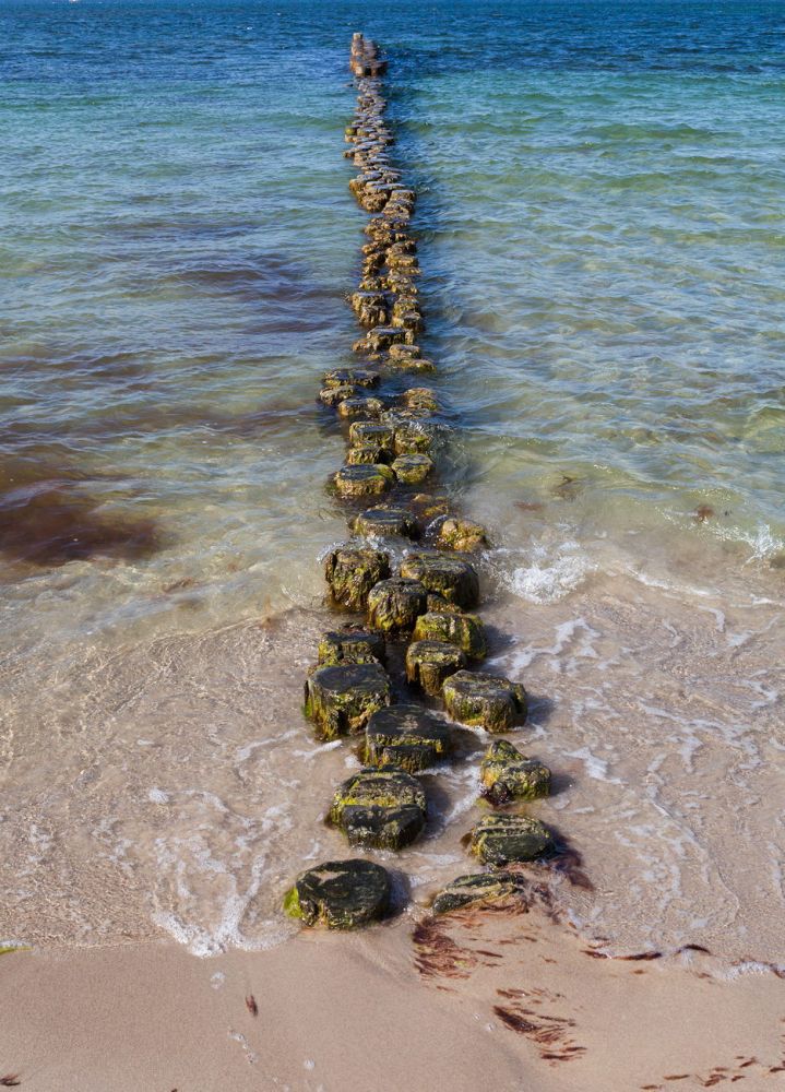 Bumpy Land
Glowe Rügen
Schlüsselwörter: Steg Baumstümpfe Küste Meer See Holz Wasser Strand Sand glitschig rutschig Algen blau türkis Wellen beschaulich Postkarte beruhigend draussen niemand Wellenbrecher Sonne sonnig 