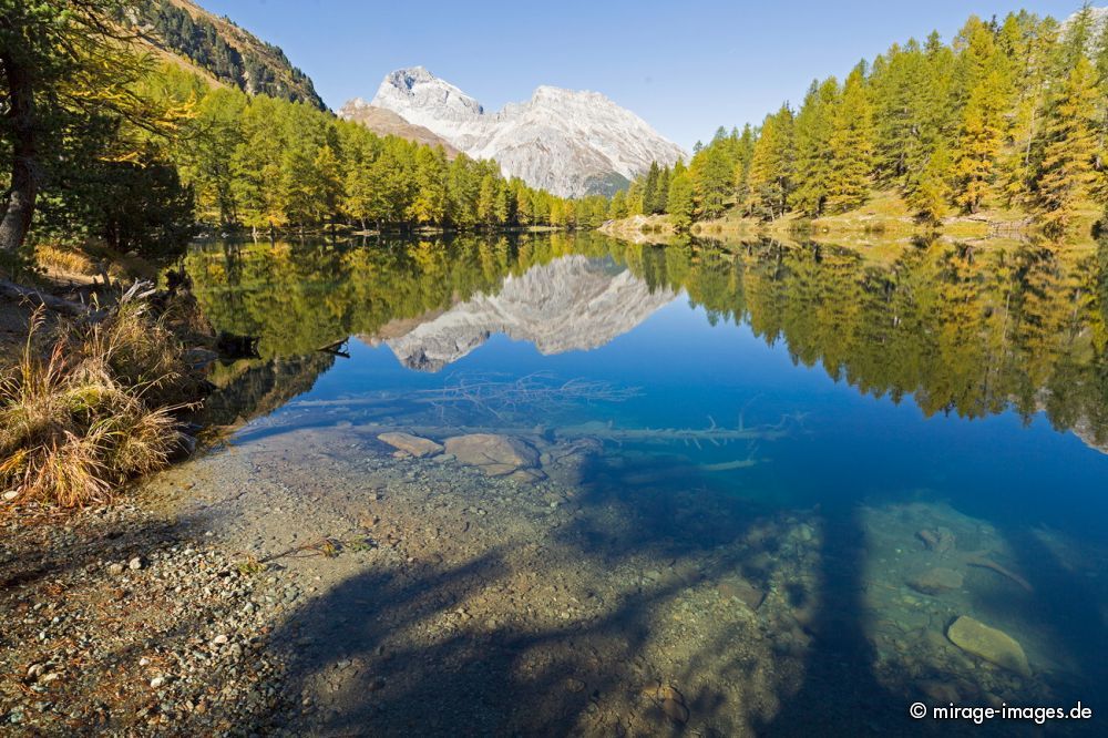 Palpuognasee - Lai da Palpuogna
Albulapass
Schlüsselwörter: See Herbst farbig Spiegelung Reflektion romantisch unberührt lakes1 natürlich malerisch Schönheit Harmonie Frieden friedlich Wasser Stille empfindlich rein sauber glasklar sonnig positiv Gleichgewicht Farben Ufer Postkarte