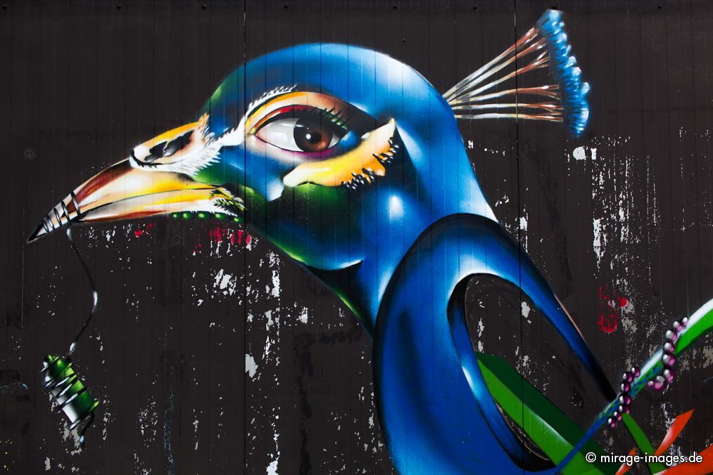 Peacock
Dortmund
Schlüsselwörter: Fantasie, bunt, schrill, Kunst, farbig, wild, comic, Bilder, Zeichen, Schriften, Wand, öffentlicher Raum, anonym, illegal, Grauzone, Sprühdosen, Farbe, Sprayer, sprühen, Vandalismus, Strassenkunst, Kultur, Gegenkultur, Kreativität, kreativ, urban,