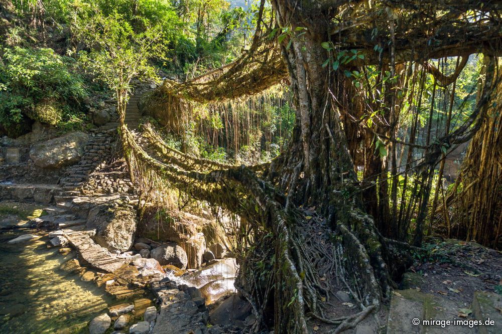 Umshiang Double-Decker Root Bridge
Cherrapunjee Nogriat
