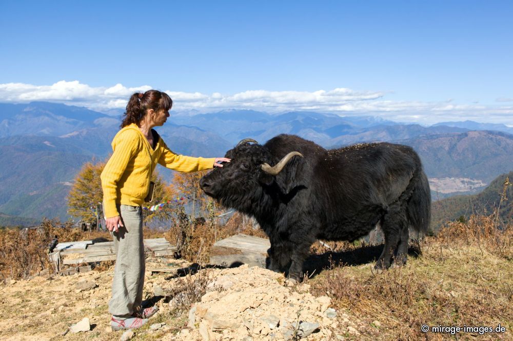 Domi and the Yak
Mandala Hill
