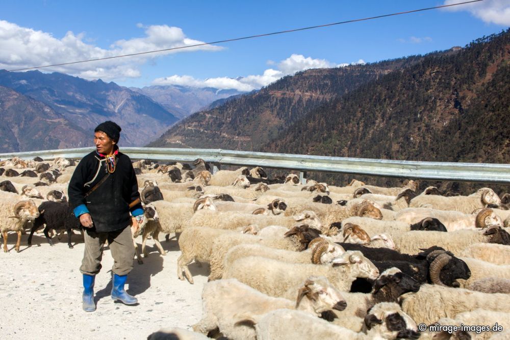 Shepherd
Sela Pass
