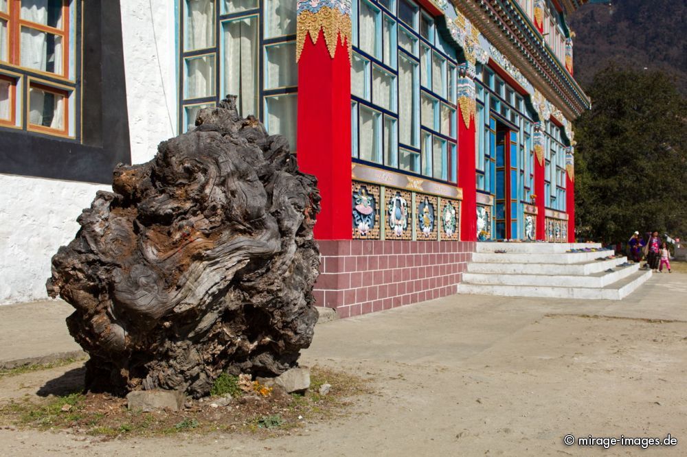 Khinmey Nyingma Monastery 
Tawang
Schlüsselwörter: Buddhismus Glauben Religion Kloster tibetisch Lama Himmel Sakyamuni Gompa heilig Heiligtum Schönheit Natur Mahayana Architektur blau erhaben majestätisch romantisch geweiht buddhistisch Zufluchtsort