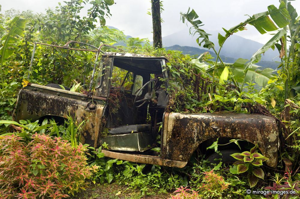 Scrap Car
Schlüsselwörter: Verfall, morbid, Zeit, Auto, Verkehr, Transport, Rost, Schmutz, verfallen, Schrott, pittoresk, gebraucht, Automobil, ausgedient, Wrack, Ökologie, Autowrack, Patina, alt, grün, rostig, verlassen, Metall, Stahl, Eisen, allein, Alter, Abfall, cars1,