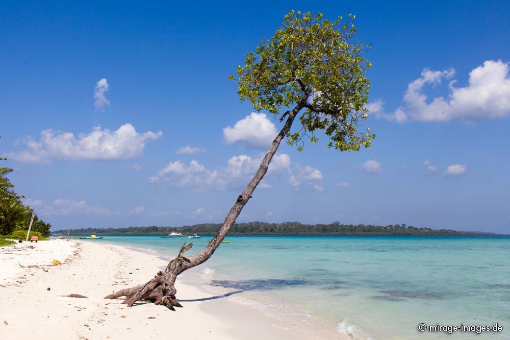 Havelock Island
