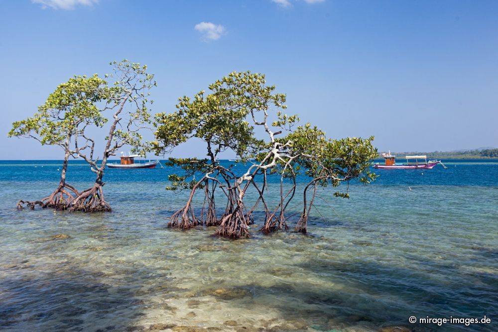 Havelock Island
Schlüsselwörter: Insel Strand Sonne Meer Erholung Natur Wärme Sand Tourismus Traum romantisch arm tropisch