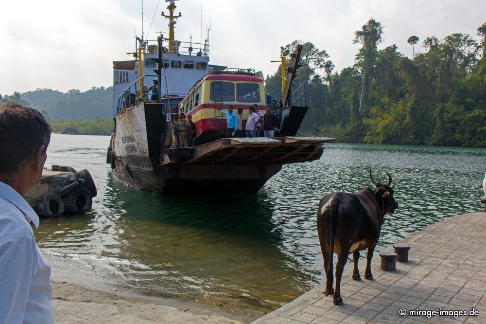 Middle Andaman
Schlüsselwörter: Insel Strand Sonne Meer Erholung Natur Wärme Sand Tourismus Traum romantisch arm tropisch