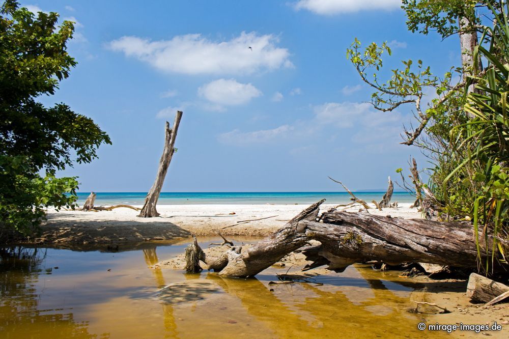 Wandoor Beach
Schlüsselwörter: Insel Strand Sonne Meer Erholung Natur Wärme Sand Tourismus Traum romantisch arm tropisch