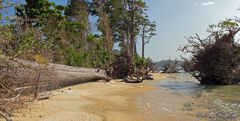 Wandoor Beach
Schlüsselwörter: Insel Strand Sonne Meer Erholung Natur Wärme Sand Tourismus Traum romantisch arm tropisch