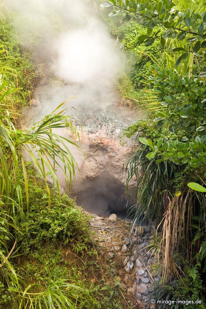 Entrance to Hell   
Wotton Waven
Schlüsselwörter: heiß, Dampf, Loch, Erde, gefährlich, vulkanisch, feucht, Schwefel, Geruch, grün, üppig, Vegetation,