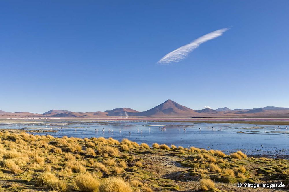 Laguna Colorada
Reserva Nacional de Fauna Andina Eduardo Aboaroa
