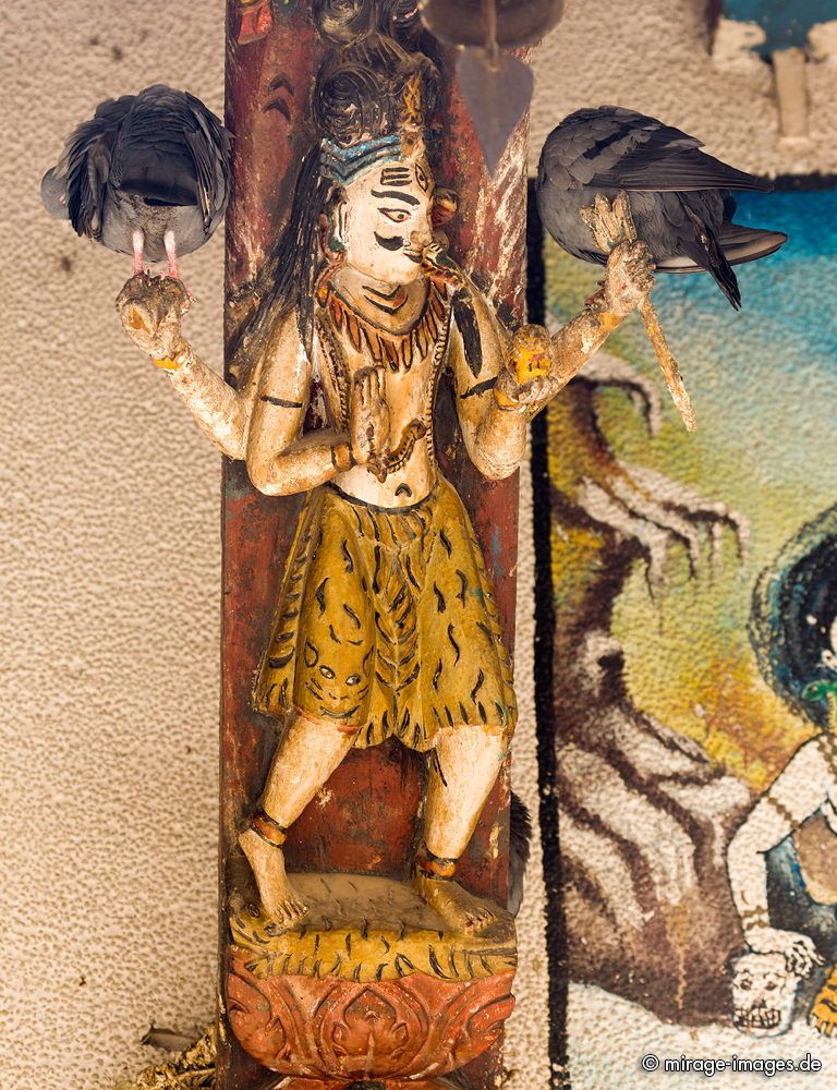 Holy Pigeons at Mahendreswor Temple
Durbar Square
