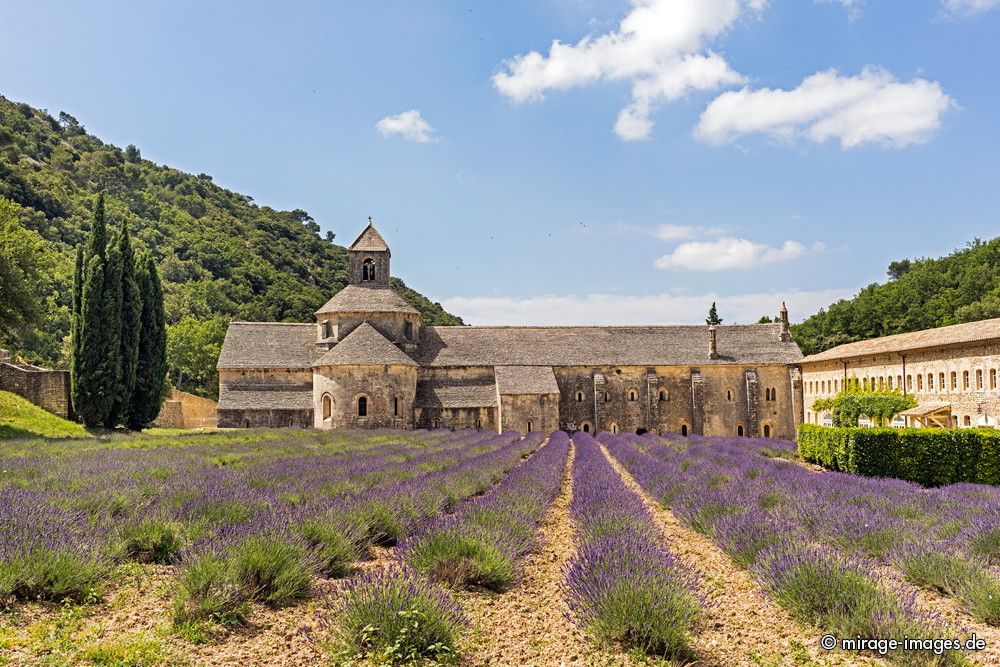 Abbaye Notre-Dame de S�nanque
Gordes
