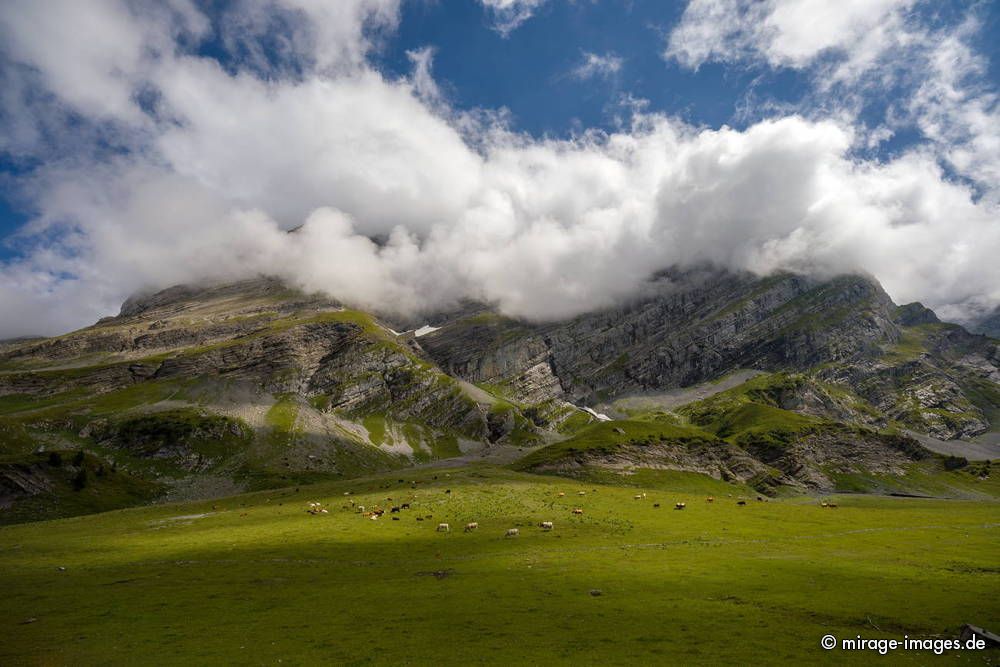 near Alpage de la Vare 
Les Plans-sur-Bex

