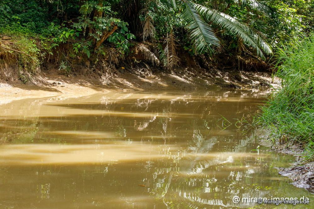 Sierpe River
Parque Nacional Corcovado
