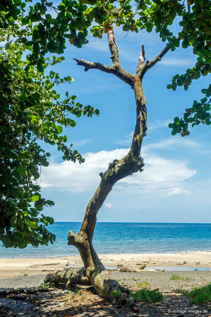 Playa Cocles
Refugio Nacional Gandoca-Manzanillo
