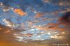 DW07_6063.jpg