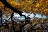 DW07_7960.jpg