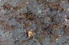 DW13_2396.jpg