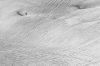 DW13_3126.jpg
