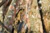 DW14_1267.jpg