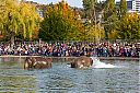 Dateiname=DW15_2618.jpg
Dateigröße=246KB
Abmessungen: 1000x667
hinzugefügt am: 12. Juli 2018 DW15_2618.jpg