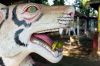 DW15_3438.jpg