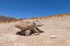 DW16_5540.jpg