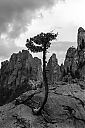 Dateiname=DW18_3210~0.jpg
Dateigröße=85KB
Abmessungen: 600x900
hinzugefügt am: 13. Juni 2019 DW18_3210~0.jpg