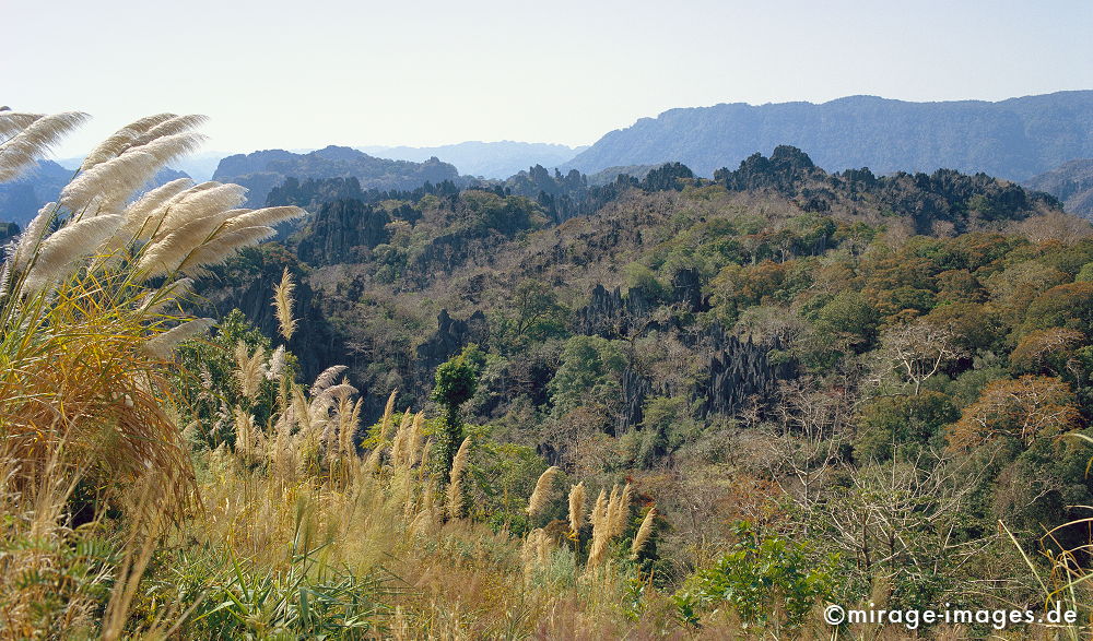 Mountainscape
Khammouane
Schlüsselwörter: Berge, Urwald, Dschungel, abgelegen, Wildnis, Elefantengras, Vegetation, üppig, grün, tropisch, Tropen, Landschaft, Natur, Bäume, Vegetation,