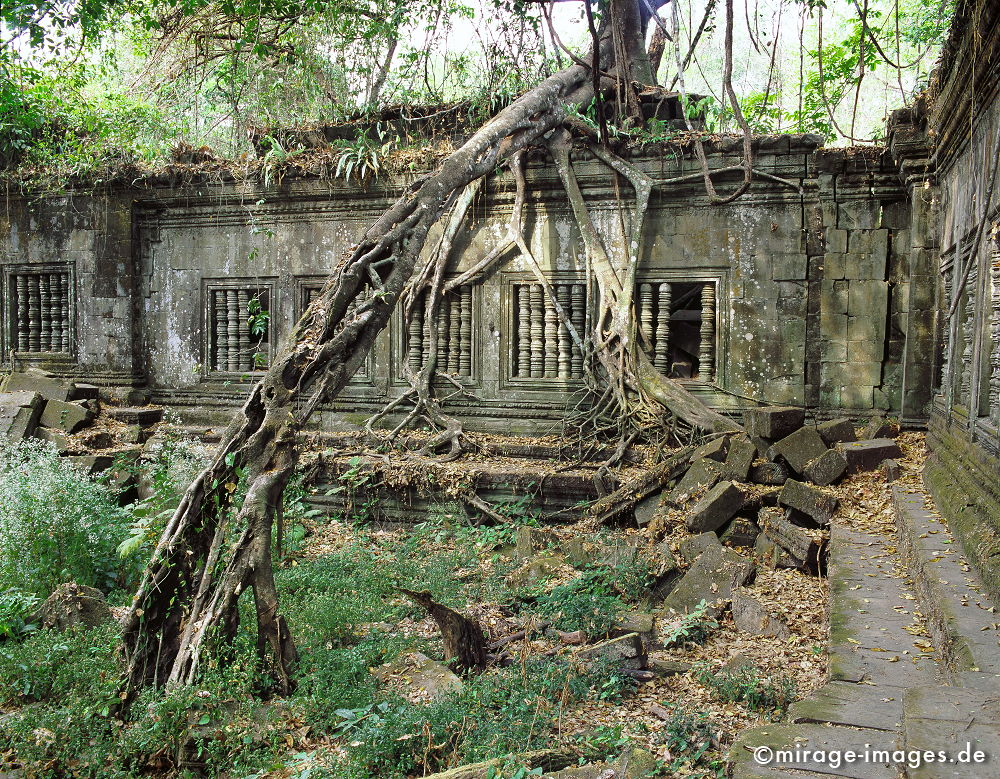 Beng Mealea
Tempel im Umfeld von Angkor Wat Siem Reap
Schlüsselwörter: Stein, heilig, Buddhismus, Religion, Spiritualität, Khmer, Asien, Entwicklungsland, Kultur, Reise, Tourismus, Frieden, friedlich, heilig, Mythologie, Naturreligion, Schönheit, Harmonie, archaisch, Magie, Mythos, Geist, göttlich, Würde, Bauwerk, Tempel