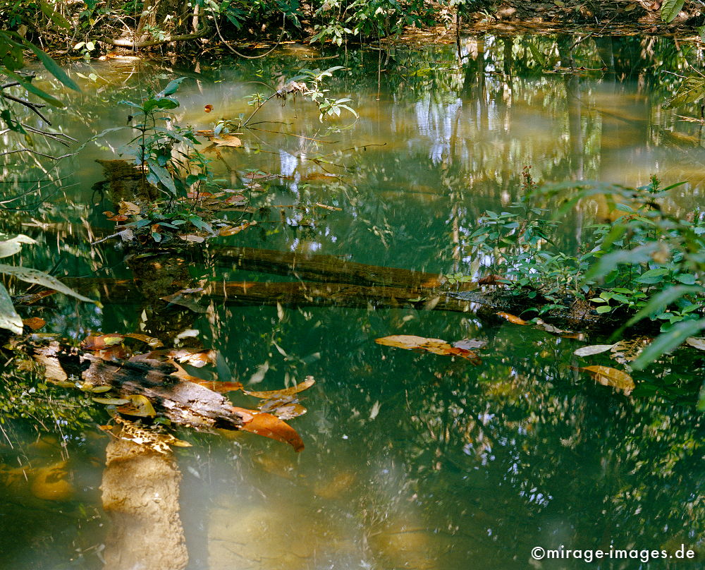 Pond
Tat Kuang Xi
Schlüsselwörter: Wasser, fliessen, Ruhe, Natur, Stein, Meditation, Entspannung, entspannen, Wildnis, unberührt, frisch, klar, natürlich, Harmonie, authentisch, Felsen, Reinheit, Sauberkeit, Leben, zerbrechlich, empfindlich, Blätter, Mangel, romantisch, idyllisch, kühl