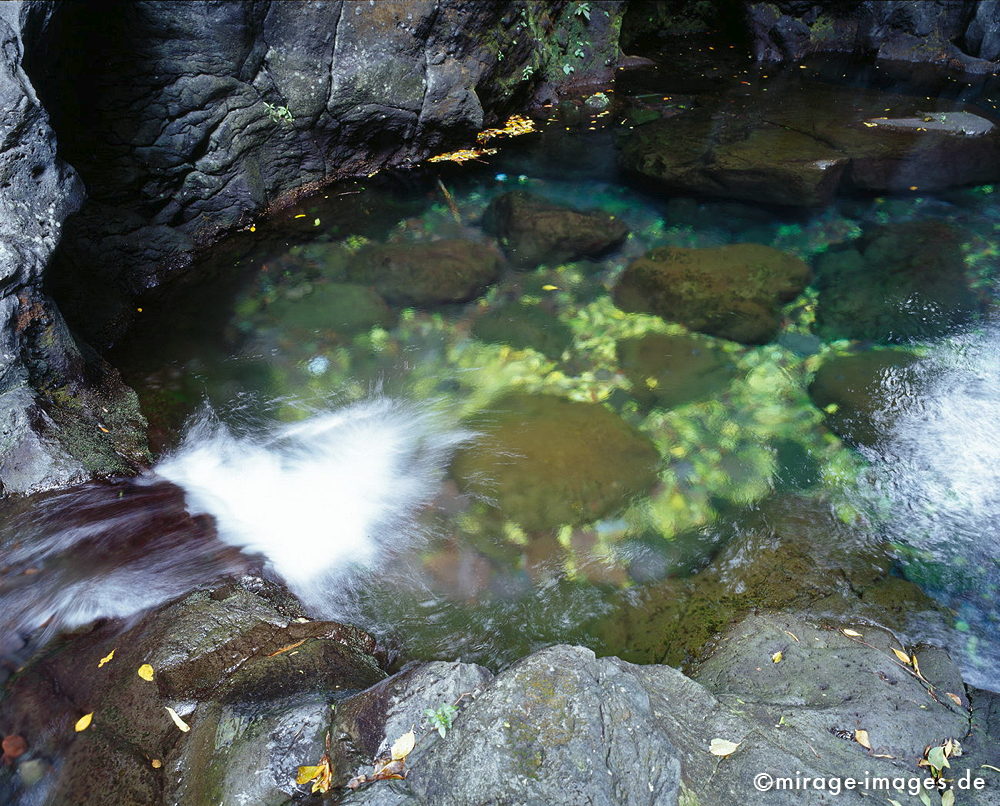 La Cathedrale
Langevin
Schlüsselwörter: Fluss, Wasser, fliessen, Ruhe, Natur, Stein, Meditation, Kontemplation, betrachten, Betrachtung, Entspannung, grün, entspannen, Wildnis, unberührt, frisch, klar, Bewegung, bewegen, natürlich, Harmonie, authentisch, Felsen, rauschen, Reinheit, Sauberkei