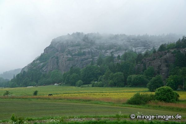 lush meadow
Bohuslän
Schlüsselwörter: Wiese, saftig, üppig, feucht, Nebel, nass, grün, Landschaft,